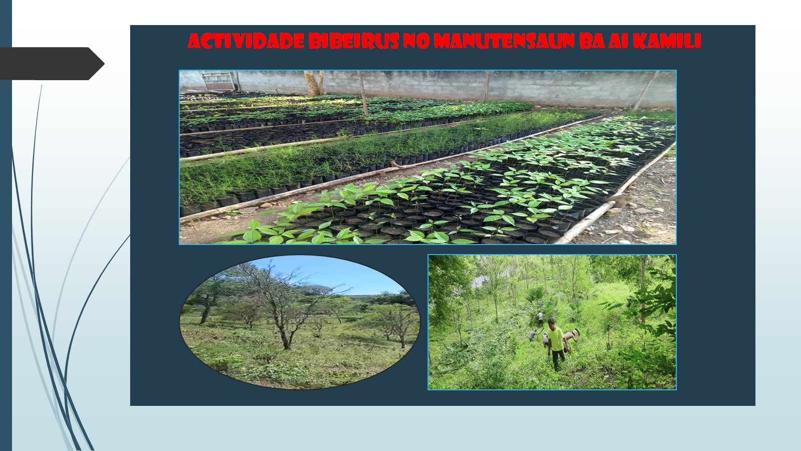 Serviço Municipal de Agricultura